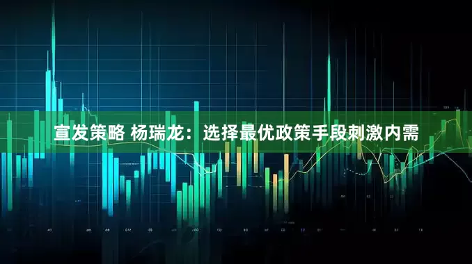 宣发策略 杨瑞龙：选择最优政策手段刺激内需