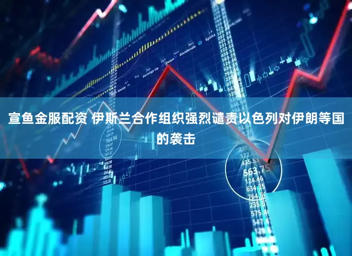 宣鱼金服配资 伊斯兰合作组织强烈谴责以色列对伊朗等国的袭击