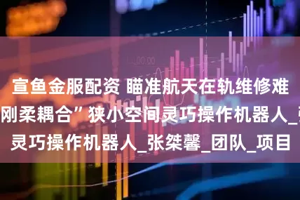 宣鱼金服配资 瞄准航天在轨维修难题，他们造出“刚柔耦合”狭小空间灵巧操作机器人_张桀馨_团队_项目