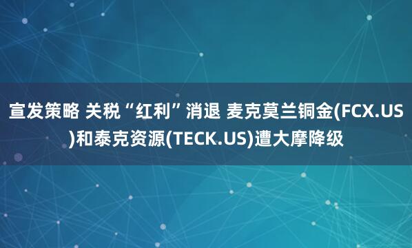 宣发策略 关税“红利”消退 麦克莫兰铜金(FCX.US)和泰克资源(TECK.US)遭大摩降级