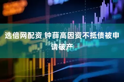 选倍网配资 钟薛高因资不抵债被申请破产
