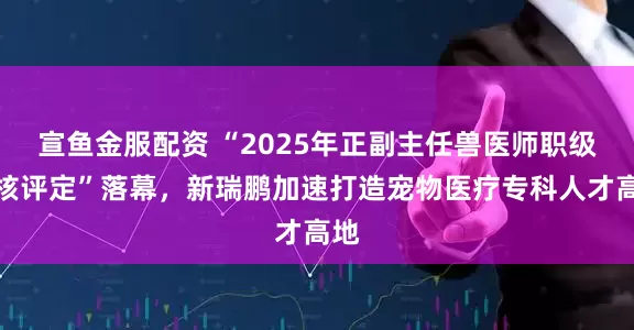 宣鱼金服配资 “2025年正副主任兽医师职级考核评定”落幕，新瑞鹏加速打造宠物医疗专科人才高地