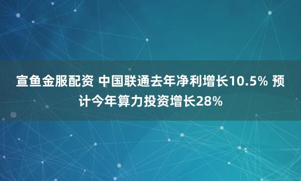 宣鱼金服配资 中国联通去年净利增长10.5% 预计今年算力投资增长28%